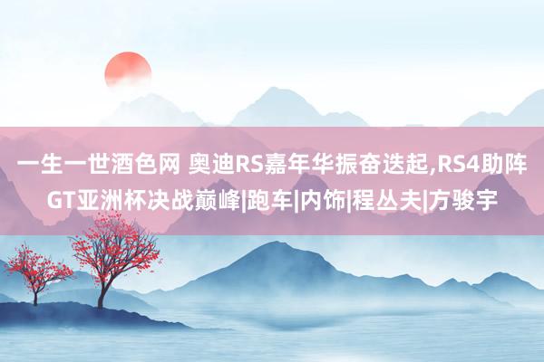 一生一世酒色网 奥迪RS嘉年华振奋迭起，RS4助阵GT亚洲杯决战巅峰|跑车|内饰|程丛夫|方骏宇