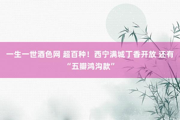 一生一世酒色网 超百种！西宁满城丁香开放 还有“五瓣鸿沟款”
