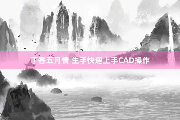 丁香五月情 生手快速上手CAD操作