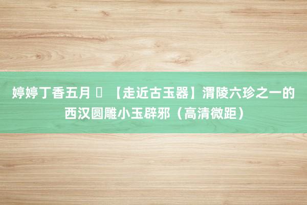 婷婷丁香五月 ​【走近古玉器】渭陵六珍之一的西汉圆雕小玉辟邪（高清微距）