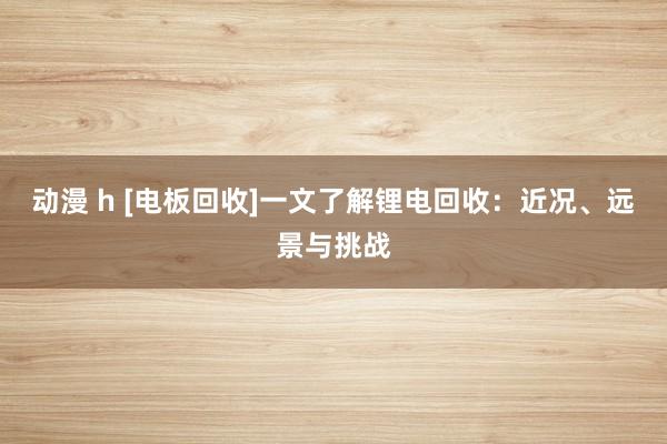 动漫 h [电板回收]一文了解锂电回收：近况、远景与挑战
