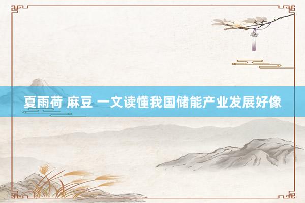 夏雨荷 麻豆 一文读懂我国储能产业发展好像