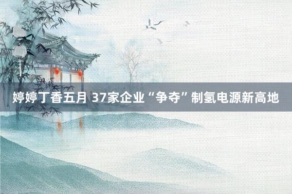 婷婷丁香五月 37家企业“争夺”制氢电源新高地