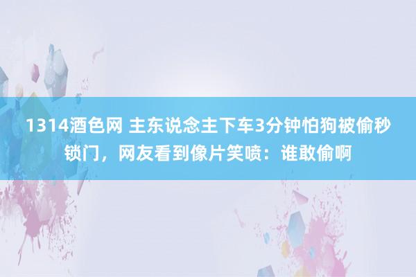 1314酒色网 主东说念主下车3分钟怕狗被偷秒锁门，网友看到像片笑喷：谁敢偷啊