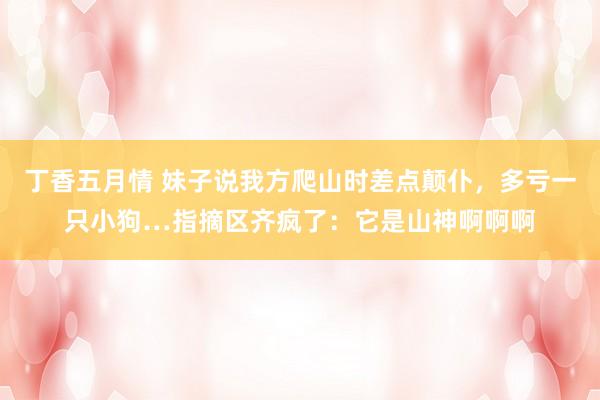 丁香五月情 妹子说我方爬山时差点颠仆，多亏一只小狗…指摘区齐疯了：它是山神啊啊啊