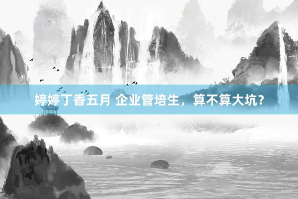 婷婷丁香五月 企业管培生，算不算大坑？