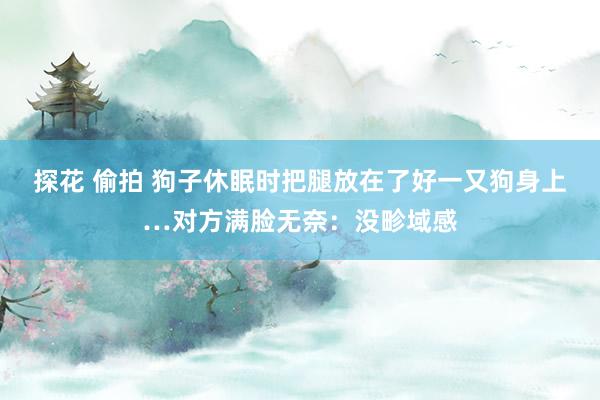 探花 偷拍 狗子休眠时把腿放在了好一又狗身上…对方满脸无奈：没畛域感