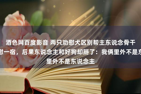 酒色网百度影音 两只劝慰犬区别帮主东说念骨干仗还安慰一宿，后果东说念主和好狗却掰了：我俩里外不是东说念主