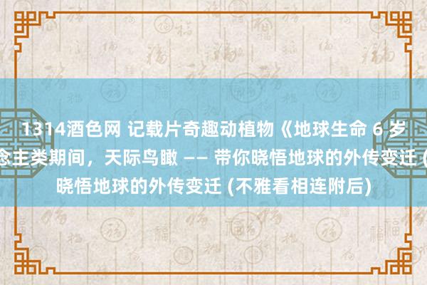 1314酒色网 记载片奇趣动植物《地球生命 6 岁至 8 岁》：东说念主类期间，天际鸟瞰 —— 带你晓悟地球的外传变迁 (不雅看相连附后)